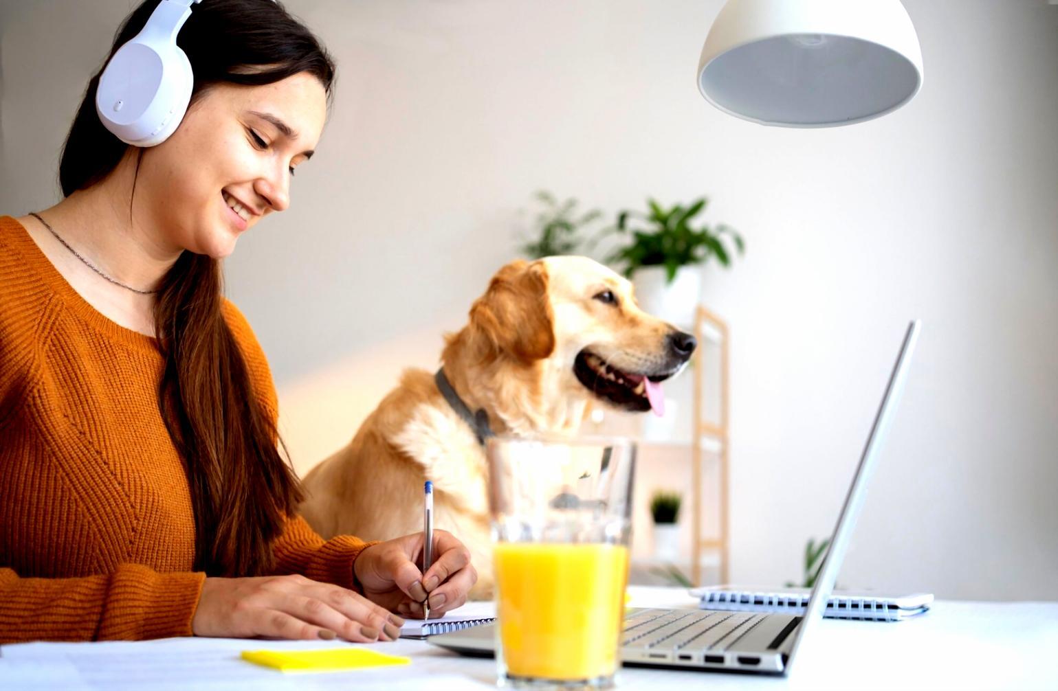 Metodología propia de análisis financiero en pizarra